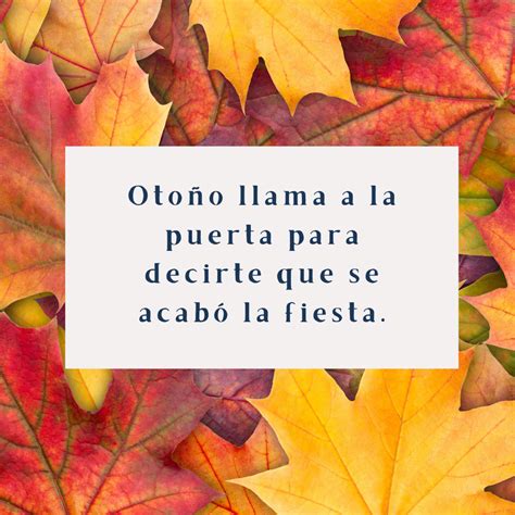 frases de otoño para whatsapp